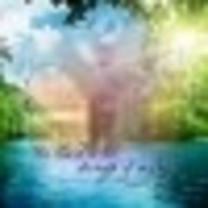 Meet your Posher, Ralph